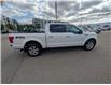 2019 Ford F-150 Platinum (Stk: TK-202A) in Calgary - Image 8 of 27