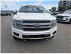 2019 Ford F-150 Platinum (Stk: TK-202A) in Calgary - Image 10 of 27
