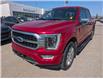 2023 Ford F-150 Platinum (Stk: TK-204A) in Calgary - Image 1 of 28