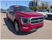 2023 Ford F-150 Platinum (Stk: TK-204A) in Calgary - Image 9 of 28