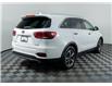2019 Kia Sorento  (Stk: TU0265A) in Calgary - Image 7 of 24