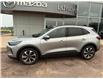 2023 Ford Escape Platinum (Stk: 24911) in Pembroke - Image 2 of 36