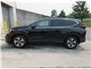 2022 Honda CR-V LX (Stk: K21709A) in Ottawa - Image 3 of 18