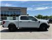 2024 Ford F-150 STX (Stk: W9576) in Uxbridge - Image 8 of 22