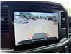 2024 Ford F-150 STX (Stk: W9576) in Uxbridge - Image 13 of 22