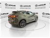 2024 Lexus NX 450h+  (Stk: 14112701A) in Markham - Image 8 of 32