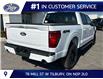 2026 Ford F-150 XLT (Stk: LFFF02077) in Tilbury - Image 3 of 13