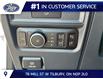 2026 Ford F-150 XLT (Stk: LFFF02077) in Tilbury - Image 7 of 13