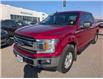 2018 Ford F-150 XLT (Stk: 19528A) in Calgary - Image 1 of 25