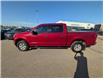 2018 Ford F-150 XLT (Stk: 19528A) in Calgary - Image 4 of 25