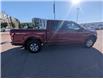 2018 Ford F-150 XLT (Stk: 19528A) in Calgary - Image 9 of 25