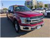 2018 Ford F-150 XLT (Stk: 19528A) in Calgary - Image 10 of 25