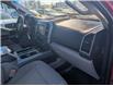 2018 Ford F-150 XLT (Stk: 19528A) in Calgary - Image 13 of 25