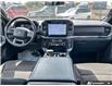 2024 Ford F-150 XLT (Stk: AFL1HL817) in Hamilton - Image 18 of 19