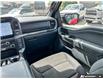 2024 Ford F-150 XLT (Stk: AFL1HL817) in Hamilton - Image 19 of 19
