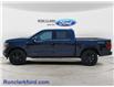 2025 Ford F-150 Platinum (Stk: A4615) in Wyoming - Image 4 of 15