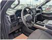 2025 Ford F-150 STX (Stk: 19576) in Calgary - Image 2 of 25