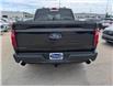 2025 Ford F-150 STX (Stk: 19576) in Calgary - Image 6 of 25
