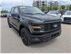 2025 Ford F-150 STX (Stk: 19576) in Calgary - Image 10 of 25