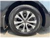2025 Toyota Corolla Hybrid LE (Stk: 12108810A) in Concord - Image 15 of 43