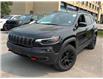 2023 Jeep Cherokee Trailhawk (Stk: 28541W) in Newmarket - Image 1 of 12