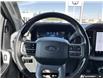 2024 Ford F-150 XLT (Stk: B89229) in Okotoks - Image 13 of 24