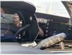 2026 Chevrolet Trax LT (Stk: TT200603) in Caledonia - Image 35 of 56