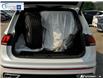 2023 Volkswagen Tiguan Highline R-Line (Stk: 26-391A) in Brockville - Image 11 of 27
