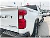 2023 Chevrolet Silverado 2500HD Custom (Stk: T698A) in Grimsby - Image 11 of 25