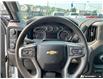 2023 Chevrolet Silverado 2500HD Custom (Stk: T698A) in Grimsby - Image 14 of 25