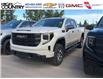 2026 GMC Sierra 1500 Pro (Stk: CT187) in High River - Image 1 of 5
