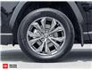 2024 Toyota RAV4 Hybrid XLE (Stk: 229048) in Milton - Image 4 of 28
