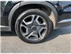 2024 Hyundai Palisade Preferred (Stk: 260831) in Ottawa - Image 10 of 33