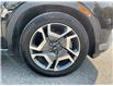 2024 Hyundai Palisade Preferred (Stk: 260831) in Ottawa - Image 11 of 33