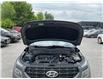 2024 Hyundai Venue  (Stk: 260863) in Ottawa - Image 22 of 34