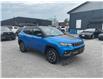 2024 Jeep Compass Trailhawk (Stk: 260866) in Ottawa - Image 8 of 34