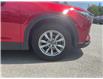 2018 Mazda CX-9  (Stk: 260856) in Ottawa - Image 11 of 34