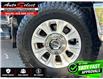 2020 Ford F-250 XLT (Stk: 2TFV1X) in Scarborough - Image 26 of 27