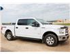 2017 Ford F-150 XLT (Stk: B77490) in Shellbrook - Image 5 of 20