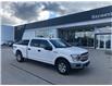 2019 Ford F-150 XLT (Stk: PM21040) in Owen Sound - Image 1 of 13
