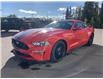 2021 Ford Mustang GT Premium (Stk: 5035) in Vanderhoof - Image 6 of 17