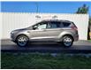 2013 Ford Escape SEL 4WD (Stk: p21-282) in Dartmouth - Image 2 of 18
