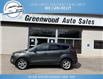 2019 Ford Escape SE (Stk: 19-72392) in Greenwood - Image 1 of 18