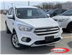 2019 Ford Escape SE (Stk: 22T260A) in Midland - Image 1 of 15