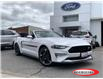2021 Ford Mustang GT Premium (Stk: OP2265) in Parry Sound - Image 1 of 22