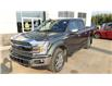 2019 Ford F-150  (Stk: 22295A) in Humboldt - Image 4 of 18