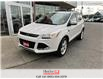 2015 Ford Escape 4WD 4dr Titanium (Stk: G0318) in St. Catharines - Image 4 of 23