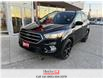 2017 Ford Escape 4WD 4dr SE (Stk: G0337) in St. Catharines - Image 4 of 23