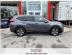 2019 Honda CR-V LX (Stk: G0427) in St. Catharines - Image 12 of 22