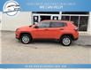 2021 Jeep Compass Sport (Stk: 21-58015) in Greenwood - Image 1 of 17